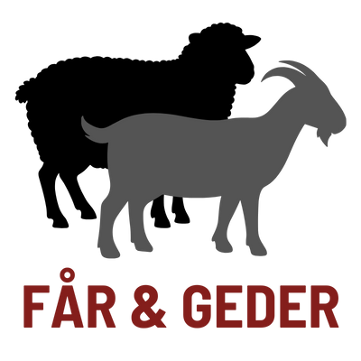 Får & geder